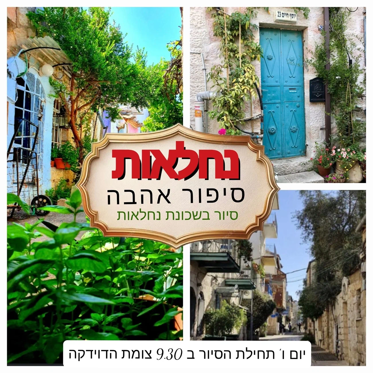סיור נחלאות