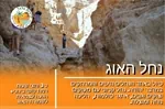 סיורי חורף צפון ים המלח 2