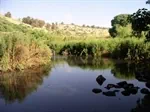 שלושה מקורות שלושה פלאים - סיור מים טבע בגליל וברמת הגולן 4
