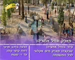 סיור ים המלח וסדום 4