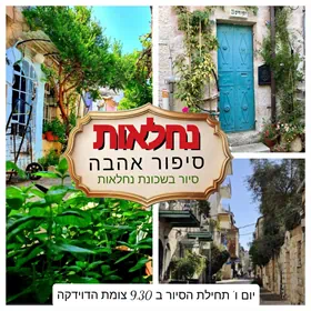 נחלאות